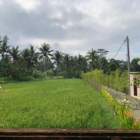 Adi Laxmi Villa Ubud Exteriör bild