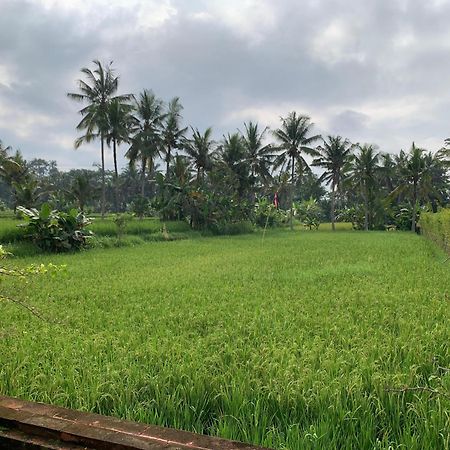 Adi Laxmi Villa Ubud Exteriör bild