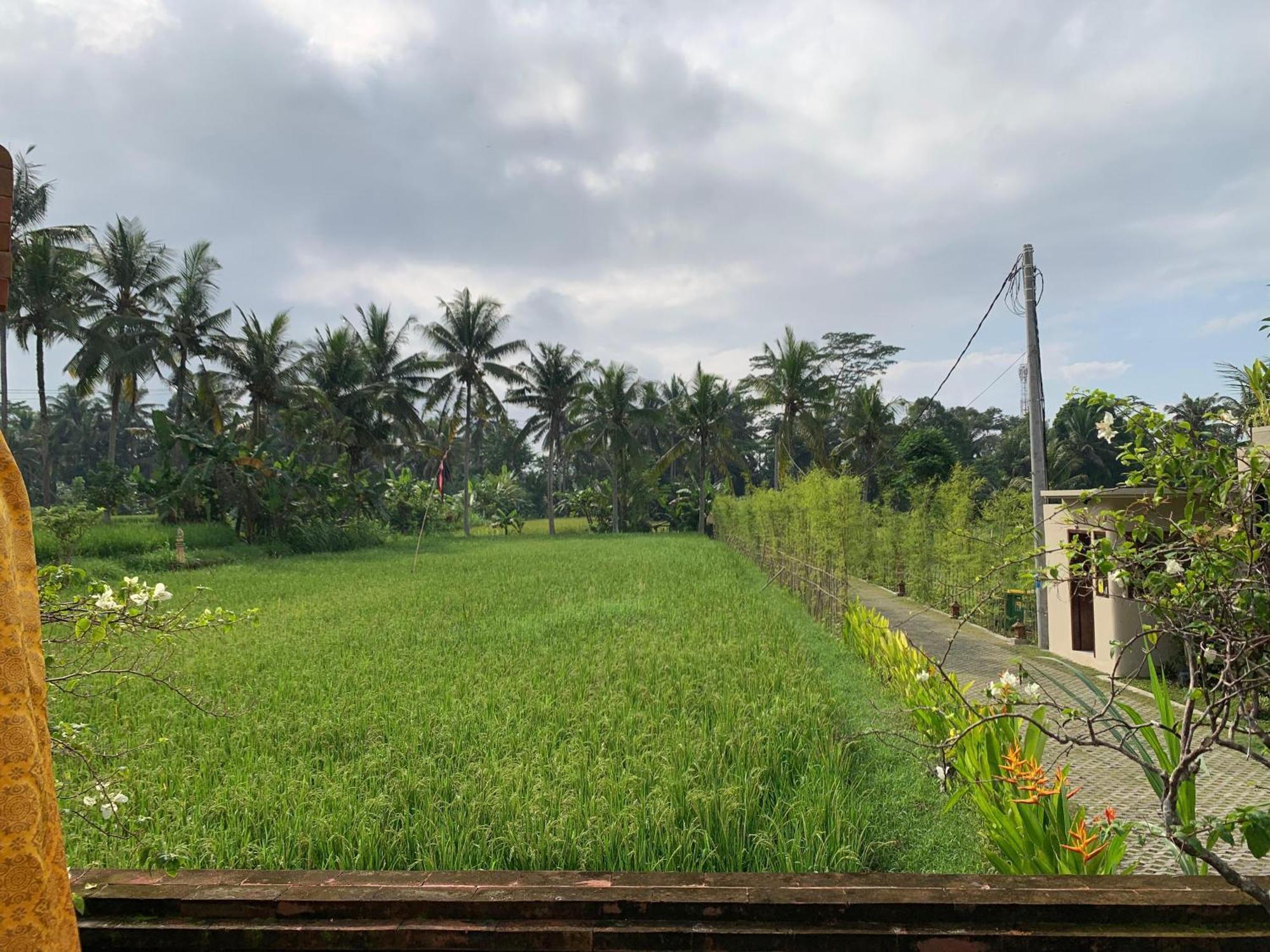 Adi Laxmi Villa Ubud Exteriör bild